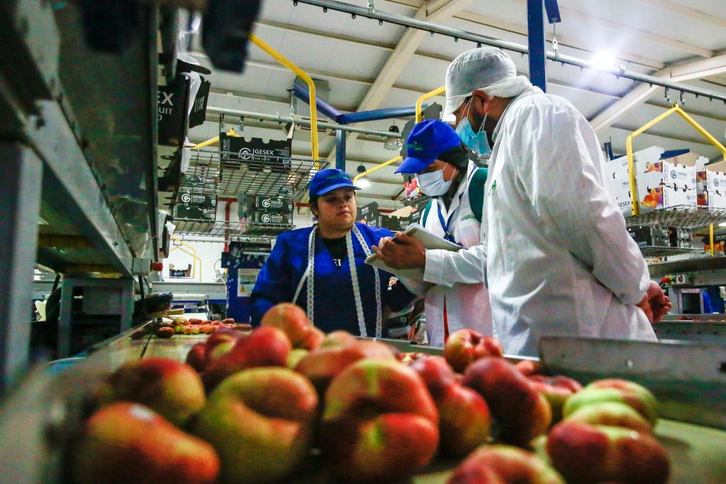 Producción industrial de Chile bajó 1,1% interanual en el mes de febrero