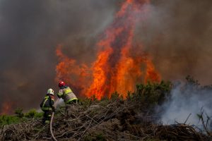 Incendio forestal en Puerto Montt: Llaman a evacuar “Villa Chin Chin los Colonos”