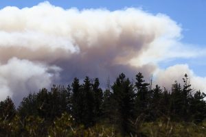 Conozca los 10 parques y reservas de la zona centro-sur cerradas por incendios forestales