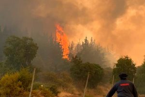 Detienen a tres personas que iban a realizar un asado en medio de los incendios forestales