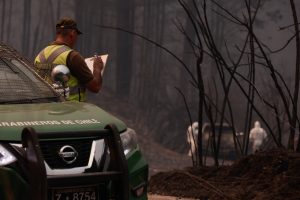Suben a 28 las personas detenidas por sospechas de iniciar incendios forestales