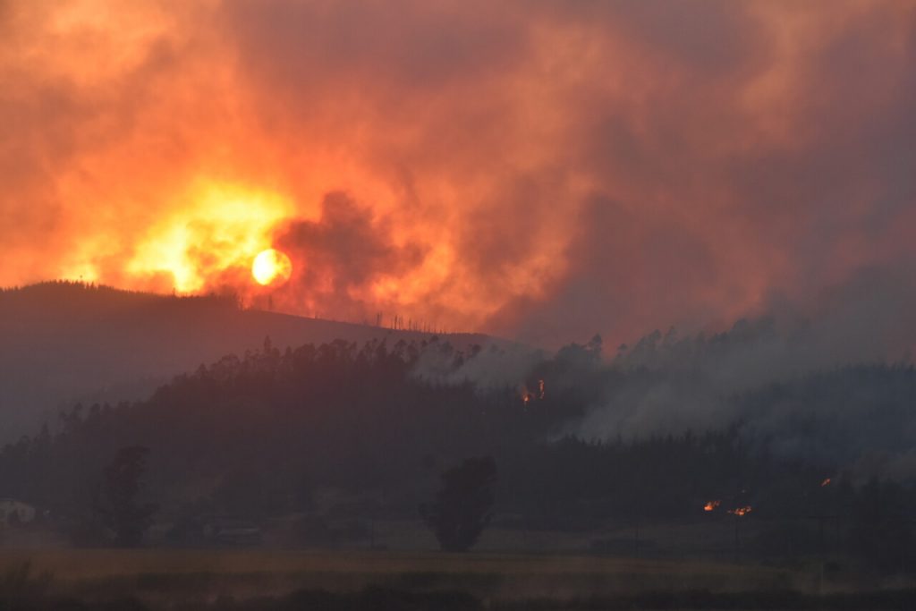 Senapred eleva a 26 la cifra de fallecidos producto de los incendios forestales en Chile