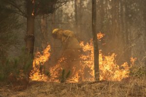 Incendios forestales de envergadura en pleno combate disminuyen a 18