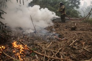 Incendios forestales: Gobierno se querella contra 7 detenidos acusados de provocar el fuego