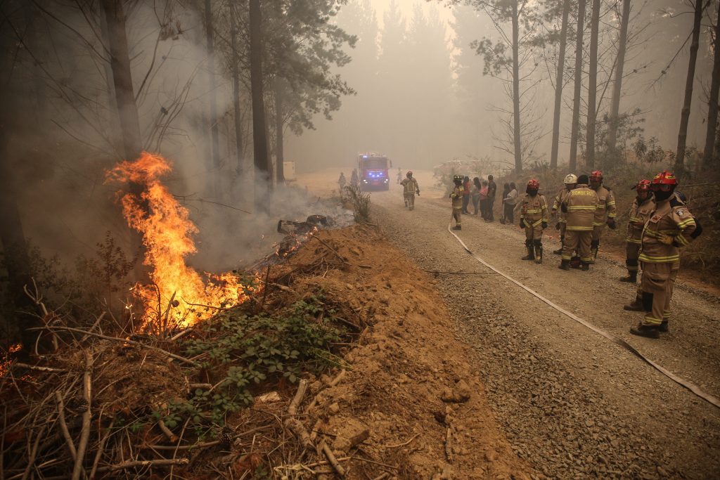 Incendios forestales: Zona arrasada equivale a casi el total del área del Gran Santiago