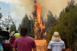 Incendios forestales: Fuego amenaza Coronel, se cortan rutas y Conaf acusa intencionalidad