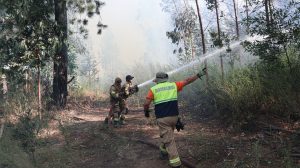 Suman más de 750 los bomberos y especialistas extranjeros que combaten incendios en el sur
