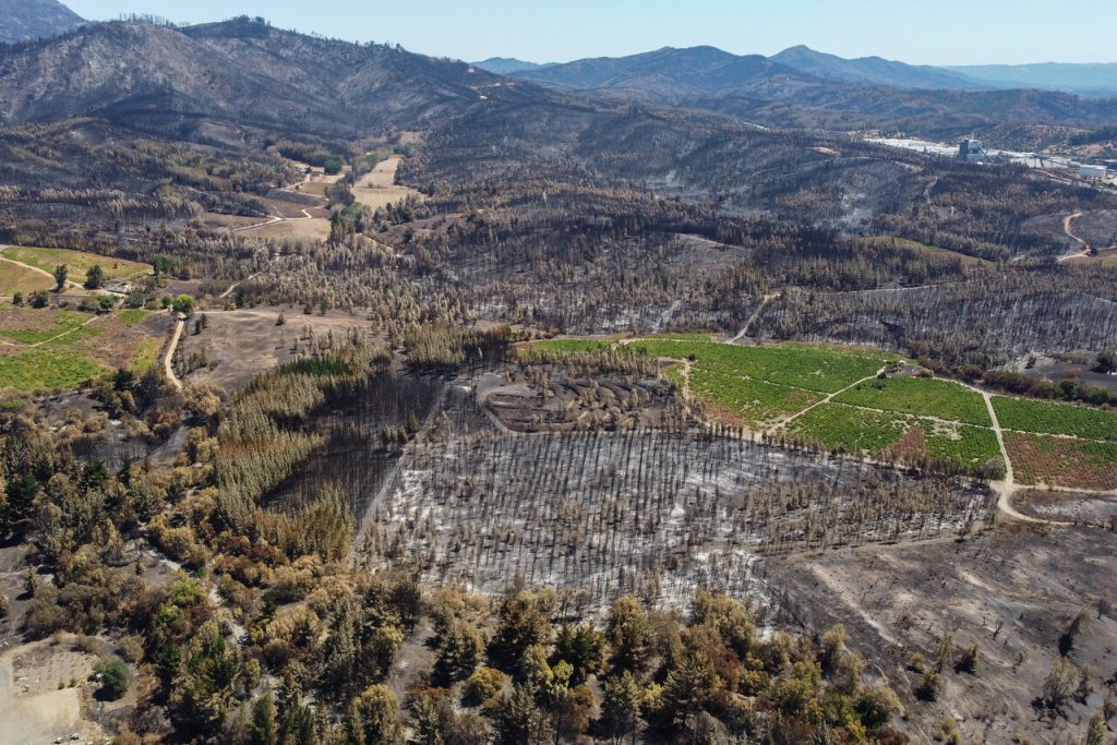 Consejos para hacer el modelo forestal chileno menos propenso a mega incendios