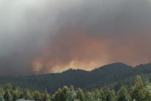 Con alerta SAE: Senapred ordena evacuación de 2 sectores de Coronel por incendio forestal