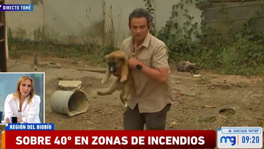 VIDEO| Gonzalo Ramírez salva a perrito que se quedó solo por los incendios en Tomé