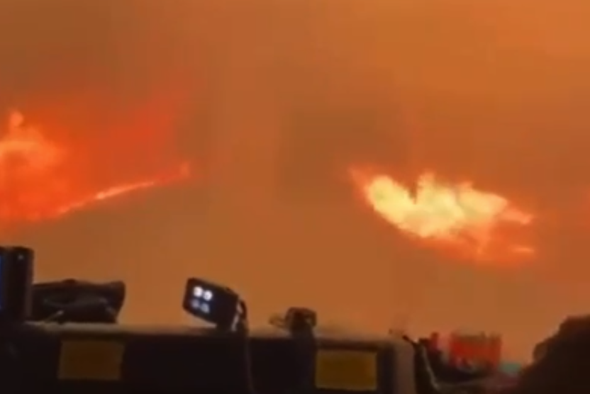VIDEO| Bomberos atraviesan las llamas en incendios forestales: "la media cag..."