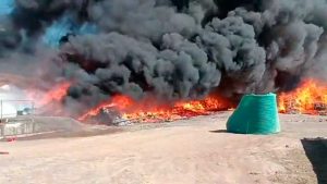VIDEO| Incendio de grandes proporciones afecta a conocida empresa frutícola en Codegua