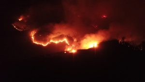 VIDEO| Coronel cercado por un incendio forestal que se acerca a una termoeléctrica