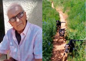 VIDEO| El drama de Don Héctor: Hombre de 103 años perdió a sus 16 perros en incendio