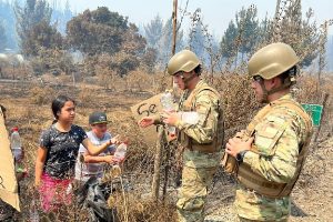 Gobierno detalla que hay dos mil militares en terreno en zonas afectadas por incendios