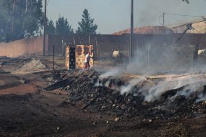 Informan 39 incendios forestales en combate: Ñuble, Biobío y La Araucanía las más afectadas