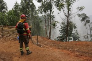 Gobierno informa muerte de brigadista que estaba combatiendo incendios forestales