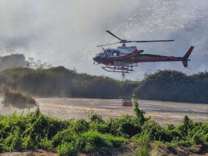 Incendio en El Trapiche, en Peñaflor: Senapred decreta Alerta Roja en la comuna