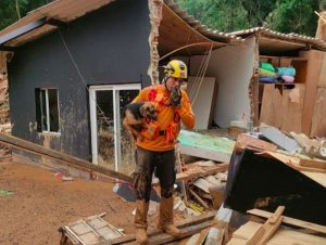 Muertos por lluvias en Sao Paulo suben a 64