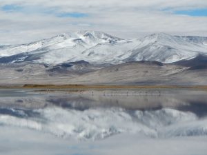 Salar de Huasco se convierte en Parque Nacional: de los pocos salares bajo protección