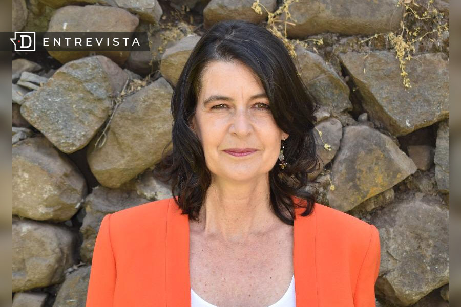 Verónica Undurraga: «Los 12 bordes no limitan la discusión de temas importantes»