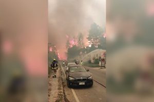 VIDEO| Incendio en Tomé: Fuego destruye albergue y residentes de la comuna deben evacuar
