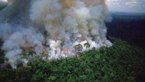 Curioso: Incendios en Amazonía bajan tras salida de Bolsonaro y llegada de Lula da Silva
