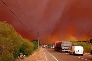 Peritos italianos investigarán en terreno el origen de los mega incendios forestales