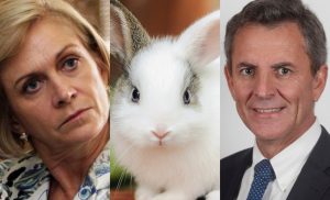 Incendios forestales y teoría de conejos: El controvertido tuit de De La Carrera contra Matthei