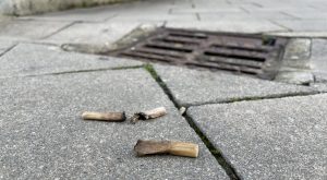 Tres razones para no tirar las colillas de cigarro al suelo