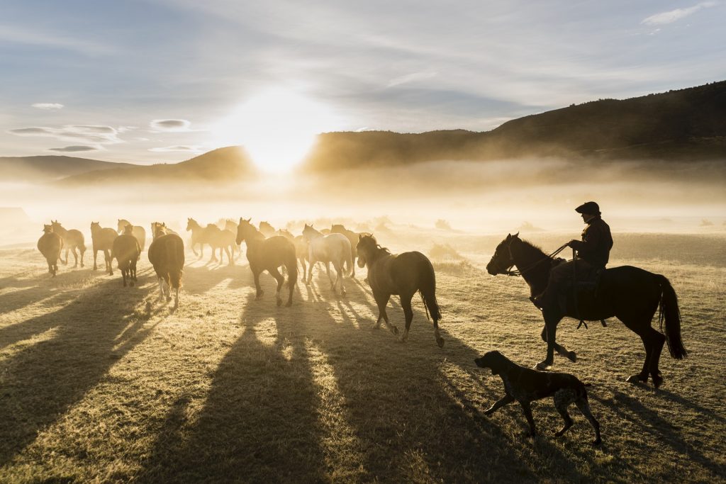 ¿Tienes la mejor foto de la Patagonia? Concursa para ganar viajes y publicación en revista