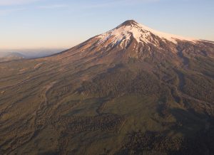 Fotos aéreas muestran que ni la ladera del Villarrica se salvó del monocultivo forestal