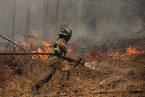 Senapred declara Alerta Roja para la comuna de La Estrella por incendio forestal