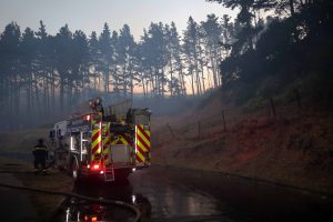 Incendios forestales: Reportan 20 siniestros que siguen en combate en la zona centro-sur