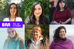 Conoce a las grandes mujeres detrás de las ONG que defienden el medio ambiente en Chile