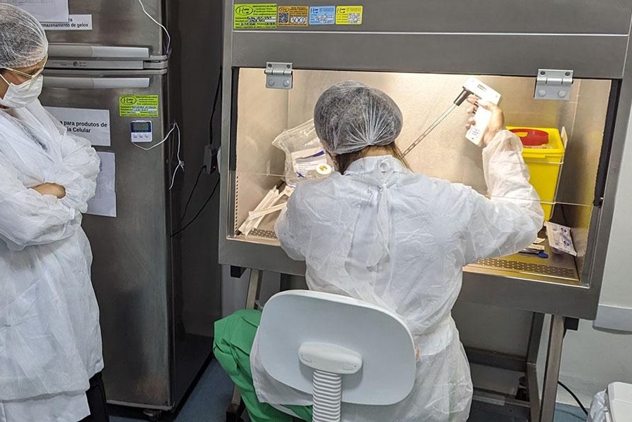 Vacuna chilena contra el cáncer da auspiciosos resultados se testeará en Brasil