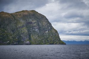 ¿Nuevo Parque Nacional para Magallanes? Tompkins dona 90 mil hectáreas en Cabo Froward