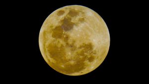 ¡Súper Luna de Gusano!: ¿Cómo y cuándo ver el evento astronómico en Chile?