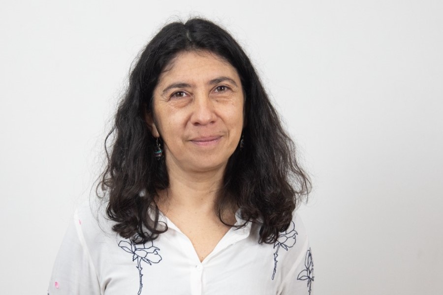 Alejandra Mohor investigadora del Centro de Estudios en Seguridad Ciudadana de la Facultad de Gobierno de la Universidad de Chile