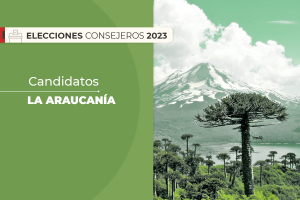 La Araucanía: Quiénes son los candidatos al Consejo Constitucional en la región