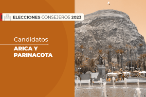 Arica y Parinacota: Quiénes son los candidatos al Consejo Constitucional en la región