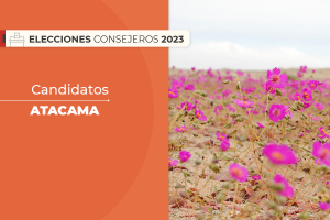 Atacama: Quiénes son los candidatos al Consejo Constitucional en la región