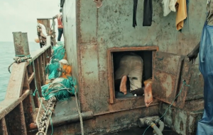 El Desconcierto presentará serie documental sobre los crímenes en la pesca de altamar