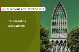 Los Lagos: Quiénes son los candidatos al Consejo Constitucional en la región