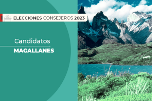 Magallanes: Quiénes son los candidatos al Consejo Constitucional en la región
