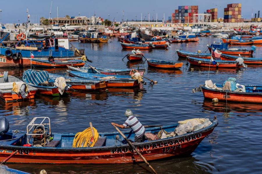 Nueva Ley de Pesca: Ministro Grau logra “tranquilizar” inquietudes de federación pesquera