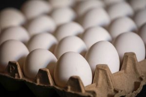 Aumenta el precio del huevo y baja la producción: Consecuencias de gripe aviar en Chile