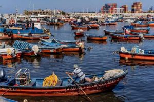 "Tenemos dudas razonables", dicen sobre nueva Ley de Pesca 60 mil pescadores artesanales