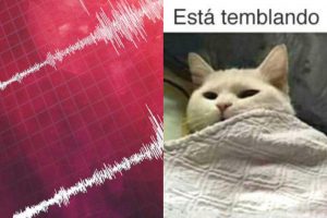 Chile país sísmico: Hilarantes reacciones twitteras por nuevo temblor en la zona central