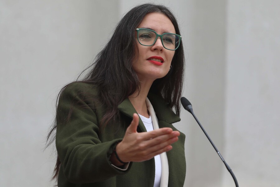 Ministra Vallejo por dos: Acusa negacionismo de Silva y “burda mentira” de Bobadilla (UDI)